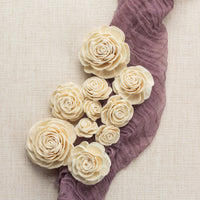 Thick Sola Rose LOL