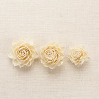 Thorned Sola Rose LOL