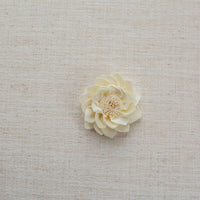 Dahlia Lotus LOL
