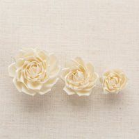 Tea Rose