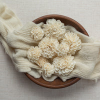 Dahlia