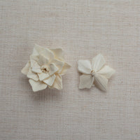 Poinsettia