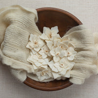 Poinsettia