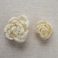 Peony Bud