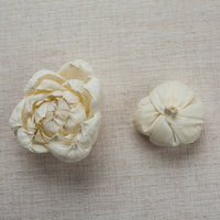 Peony Bud