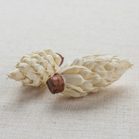 Sola Wood Pinecone