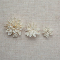 Pressed Dahlia