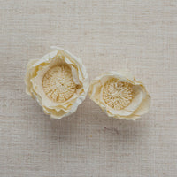 Peony Bell LOL