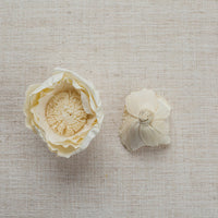 Peony Bell LOL