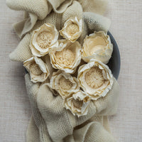 Peony Bell LOL