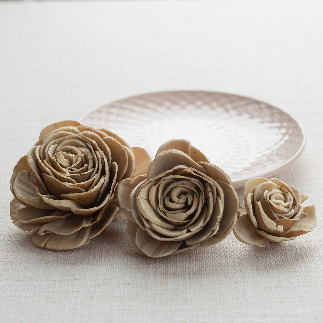 Skin Aurora LOL Sola Sister Co.