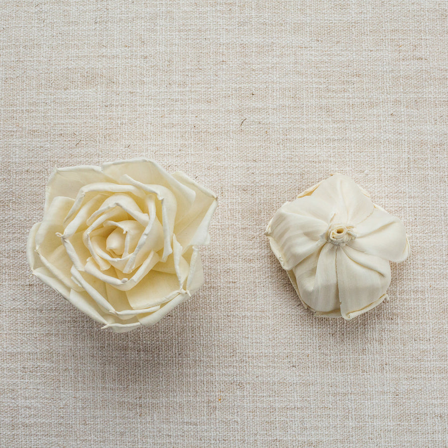Gardenia